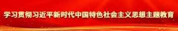 流水艹啊啊啊网站学习贯彻习近平新时代中国特色社会主义思想主题教育